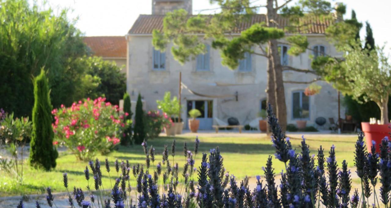 Maison Tara Verte Au Mas Montredon Arles Kültér fotó