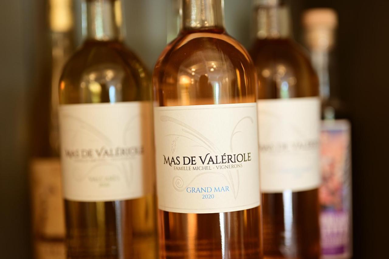 Maison Tara Verte Au Mas Montredon Arles Kültér fotó