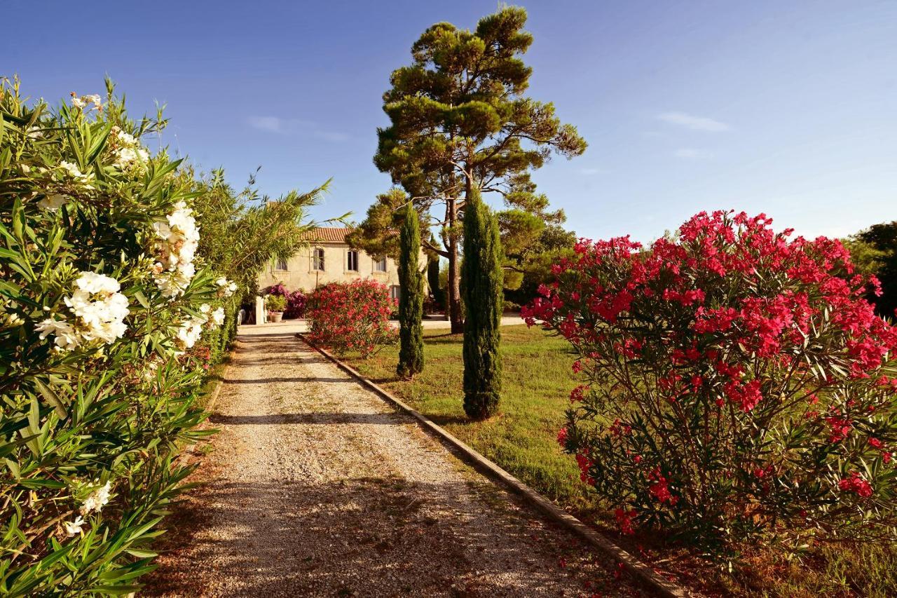 Maison Tara Verte Au Mas Montredon Arles Kültér fotó