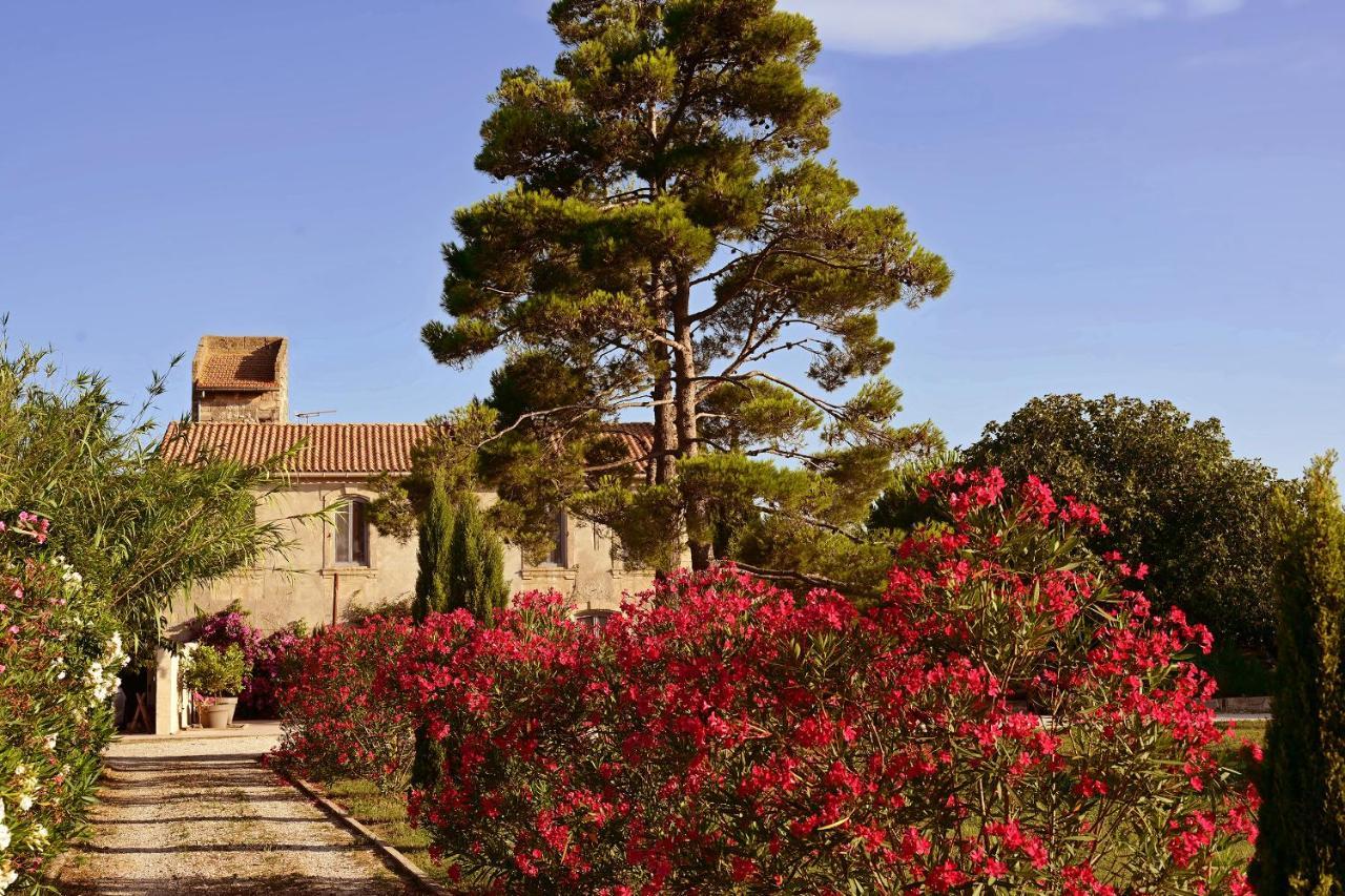 Maison Tara Verte Au Mas Montredon Arles Kültér fotó