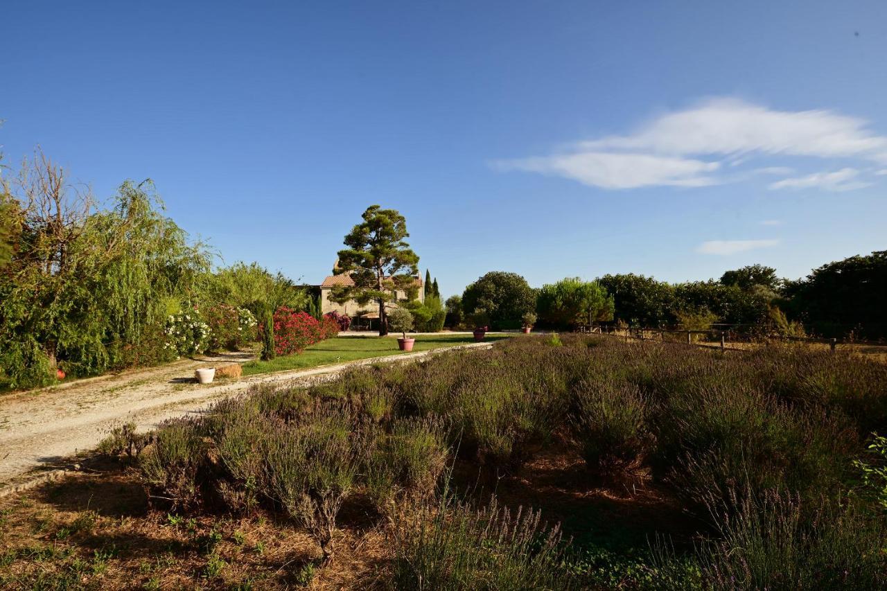 Maison Tara Verte Au Mas Montredon Arles Kültér fotó