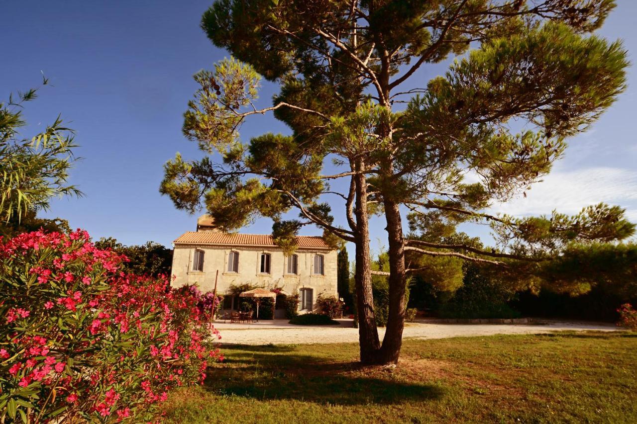Maison Tara Verte Au Mas Montredon Arles Kültér fotó