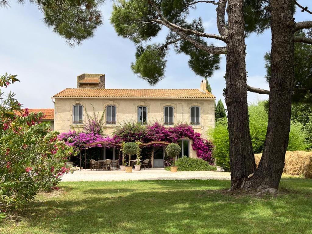 Maison Tara Verte Au Mas Montredon Arles Kültér fotó
